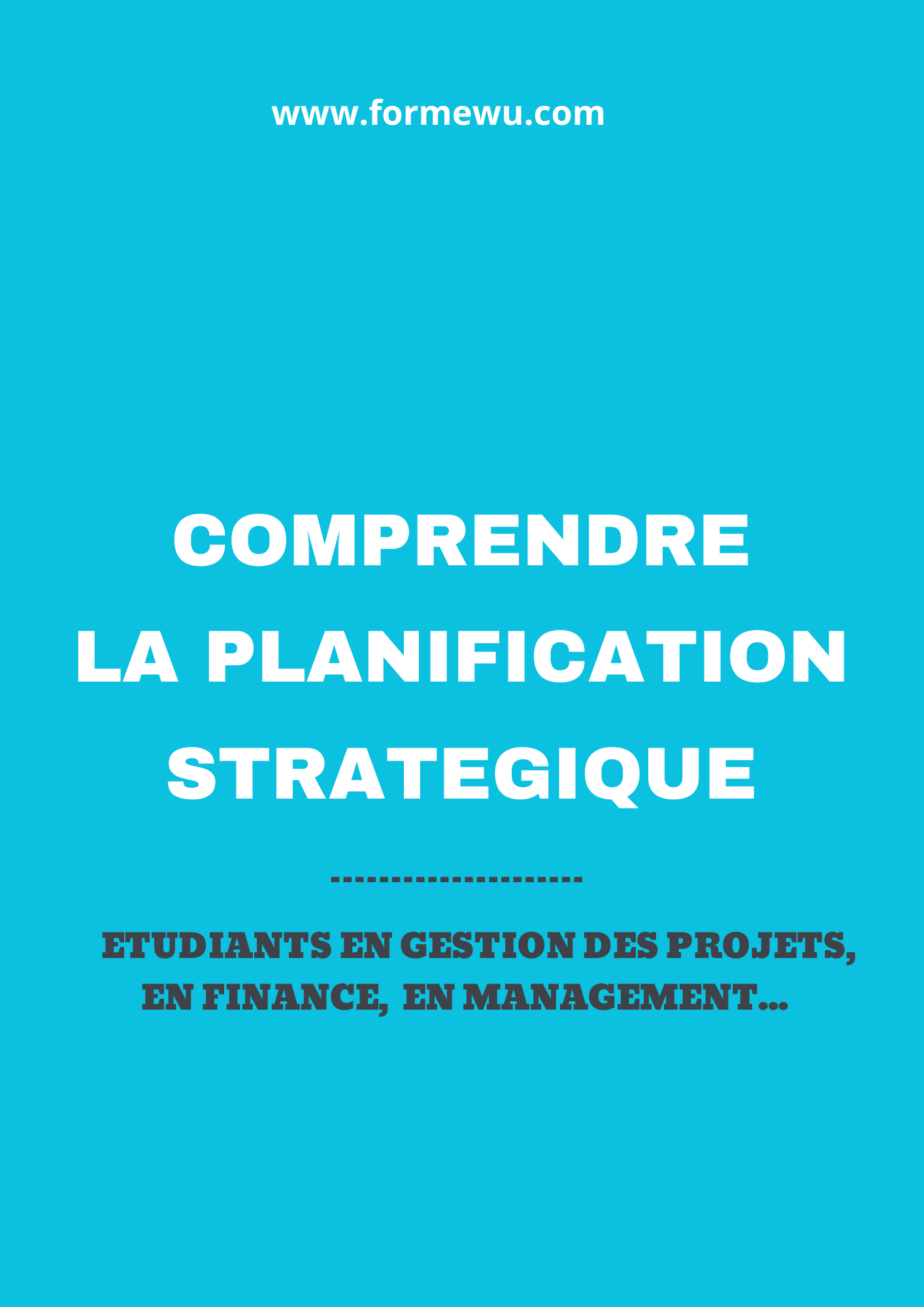 La planification stratégique de l'organisation
