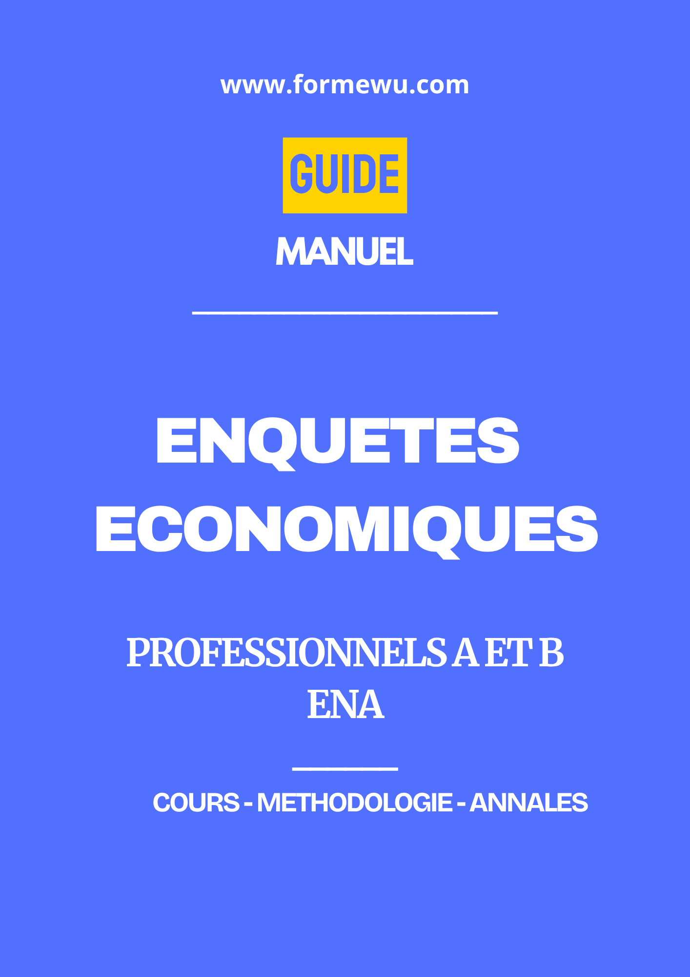 ENQUETES ECONOMIQUES - MANUEL