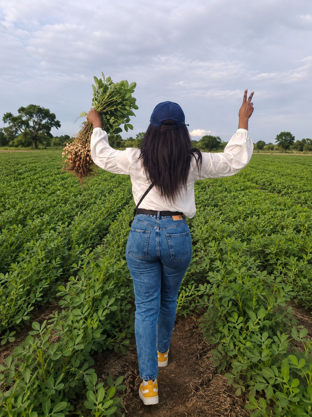 Couverture de RASSAD-AGRILOC